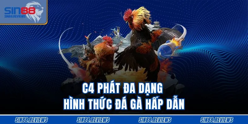 C4 phát đa dạng hình thức đá gà hấp dẫn