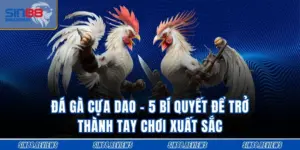 Đá Gà Cựa Dao - 5 Bí Quyết Để Trở Thành Tay Chơi Xuất Sắc