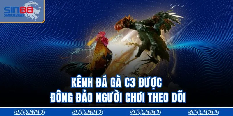 Kênh đá gà C3 được đông đảo người chơi theo dõi