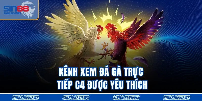 Kênh xem đá gà trực tiếp C4 được yêu thích