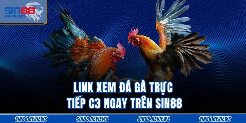 Link xem đá gà trực tiếp C3 ngay trên SIN88