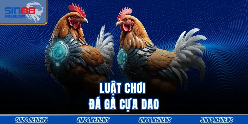 Luật chơi đá gà cựa dao 