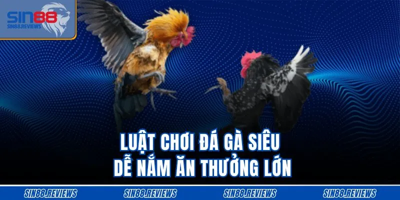 Luật chơi đá gà siêu dễ nắm ăn thưởng lớn