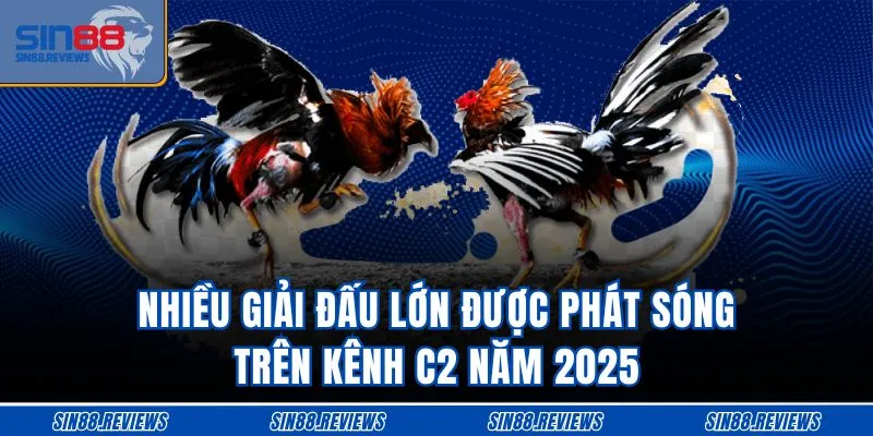 Nhiều giải đấu lớn được phát sóng trên kênh C2 năm 2025