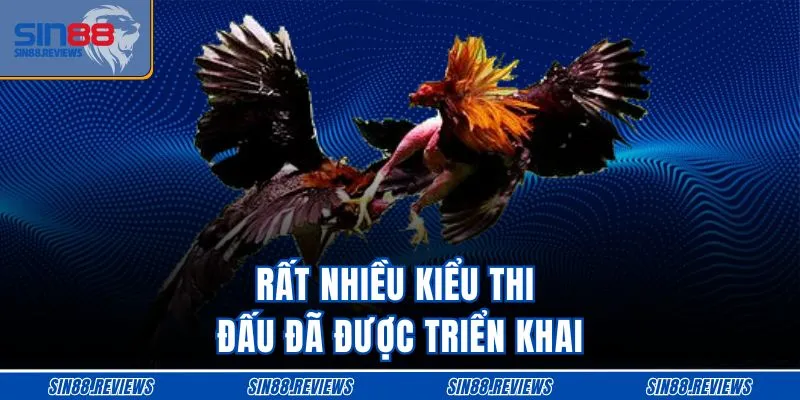 Rất nhiều kiểu thi đấu đã được triển khai