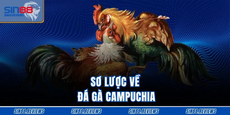 Sơ lược về đá gà Campuchia